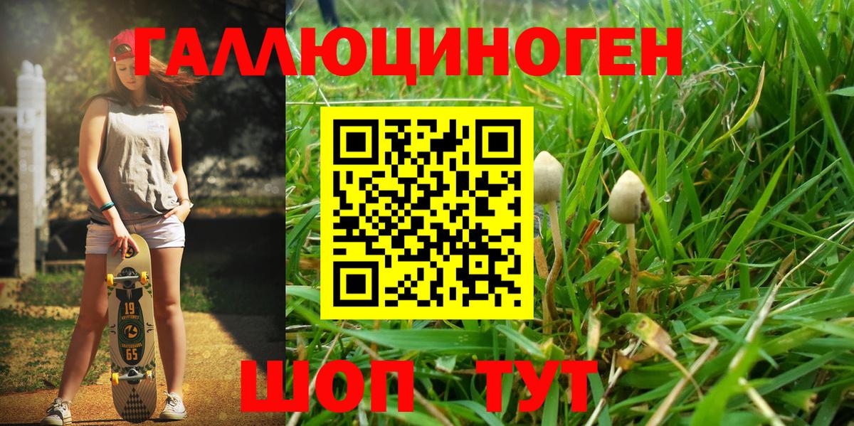 Солнечногорск  Псилоцибиновые грибы Psilocybine cubensis  Вход с VPN 